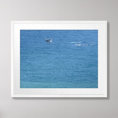 Whale Kauai Ocean Framed Art