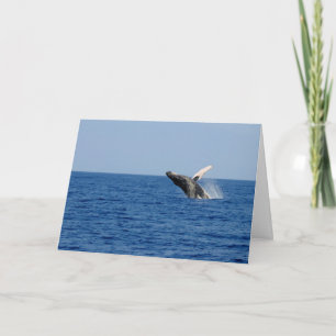 Whale of a Time Card