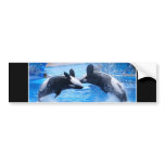 Whale Photo Bumper Sticker