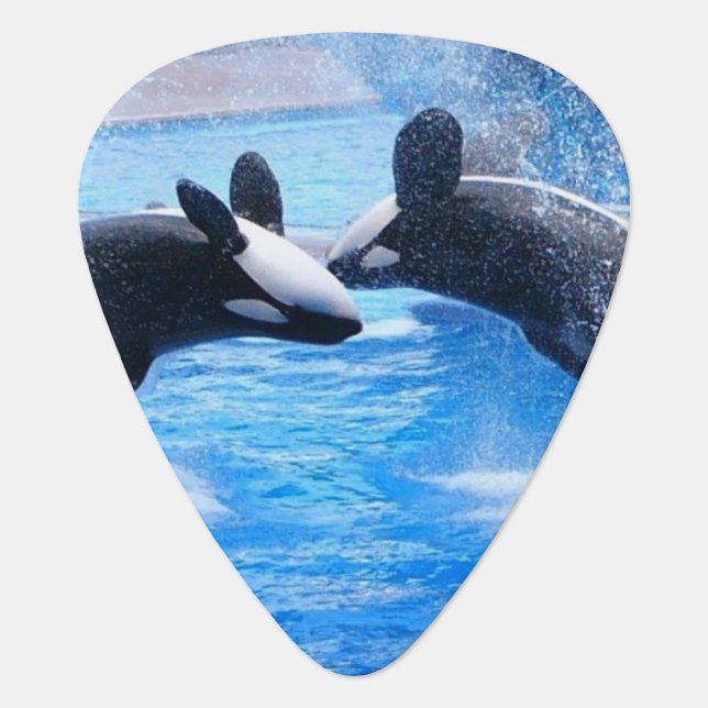 Whale Photo Guitar Pick (Front)