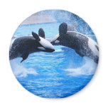 Whale Photo Magnet