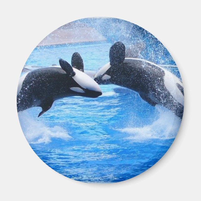 Whale Photo Magnet (Front)