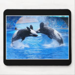 Whale Photo Mouse Pad