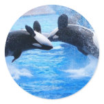 Whale Photo Sticker