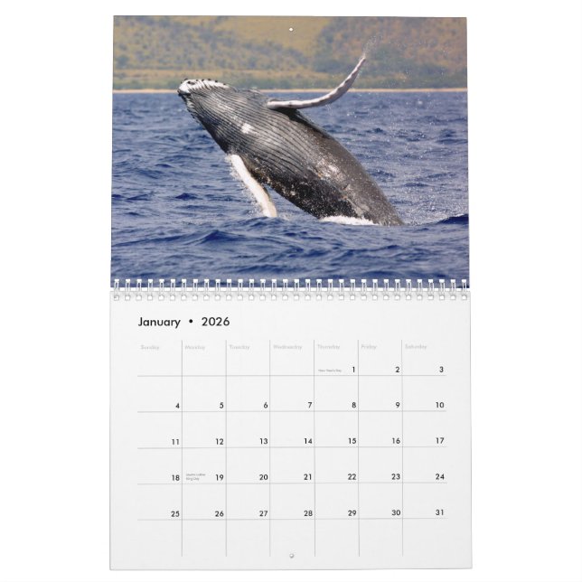 Whale Photography Calendar (Jan 2026)