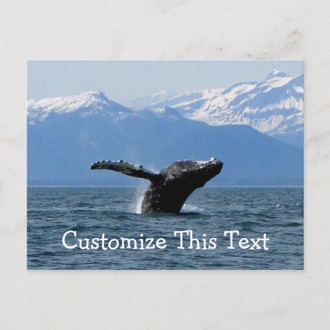 Whale Playtime; Customizable Postcard (Front)