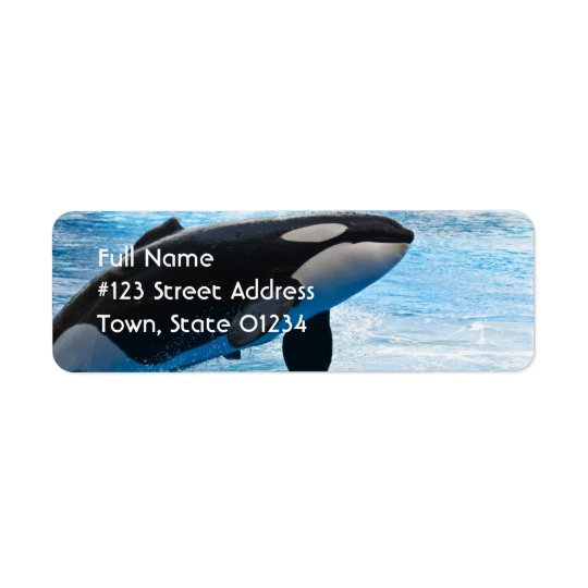 MATTE Parties Personalized All Occasions Sea Ocean Custom Label Return Address Label Blue Whale