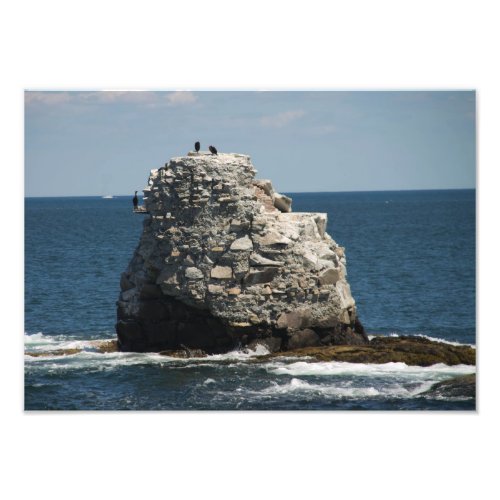 Whale Rock Photo Print