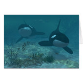 Whale Scene (Front Horizontal)