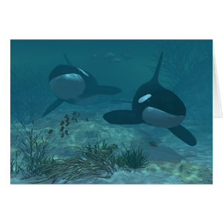 Whale Scene Cards