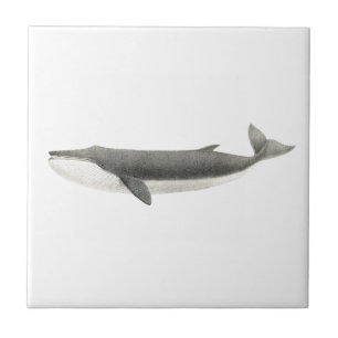 "WHALE" SEALIFE CERAMIC TILE