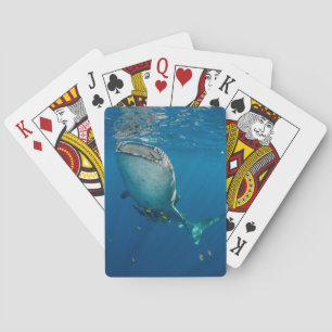 Whale Shark and Fish Poker Cards