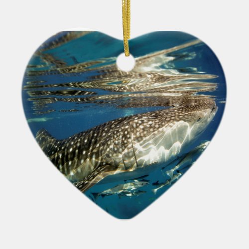 Whale shark and remora fish ceramic ornament