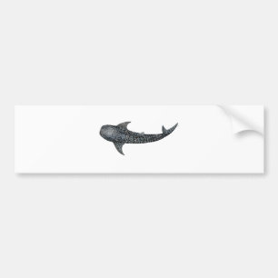 Whale shark bumper sticker