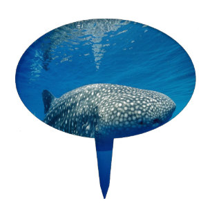 Whale Shark Cake Topper