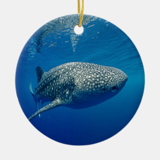 Whale Shark Ceramic Ornament (Front)