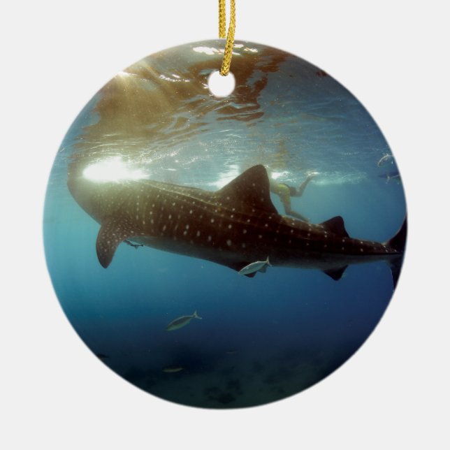 Whale shark feeding ceramic ornament (Front)