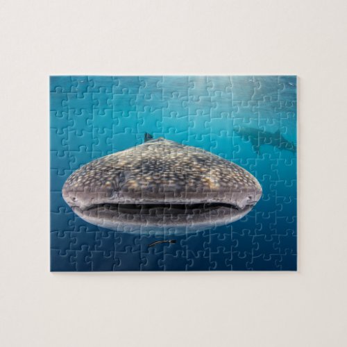 Whale Shark Front view Indonesia Jigsaw Puzzle