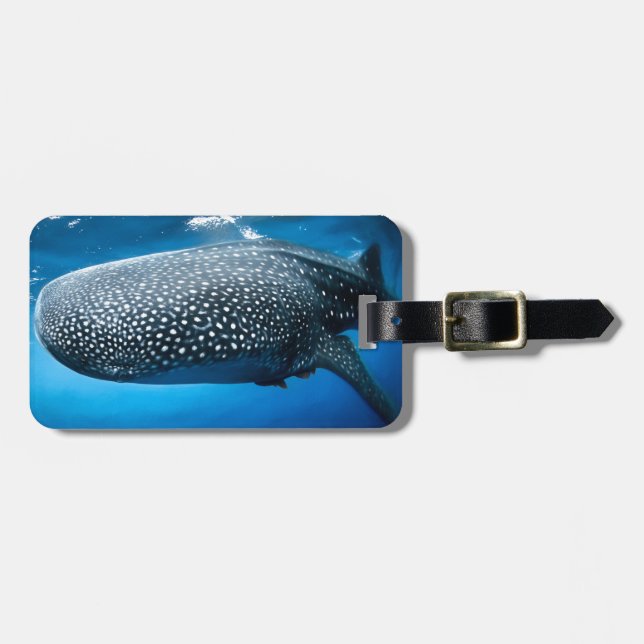 Whale Shark Luggage Tag (Front Horizontal)