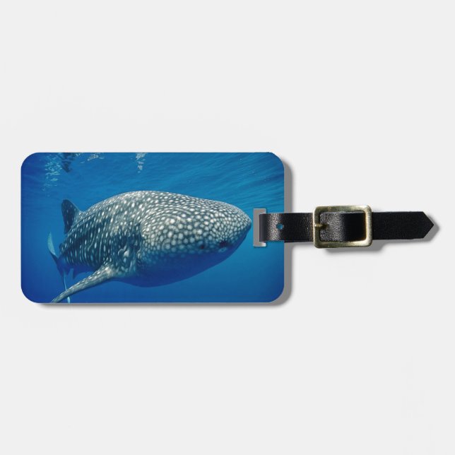 Whale Shark Luggage Tag (Front Horizontal)