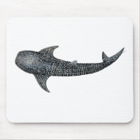 Whale shark