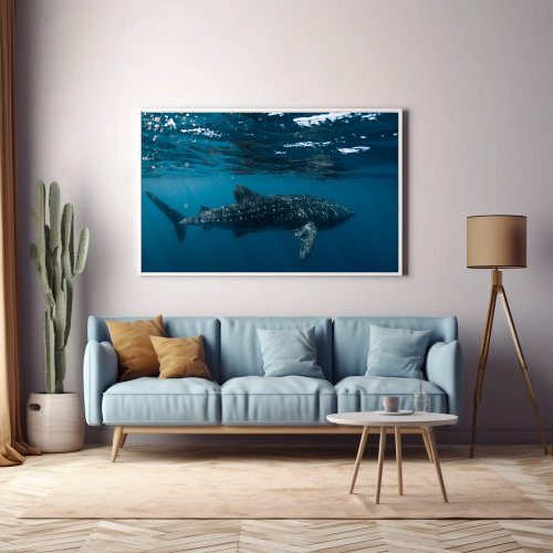 Whale Shark Nature Photograpy Undersea world  Poster