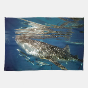 Whale shark Oslob Philippines Towel