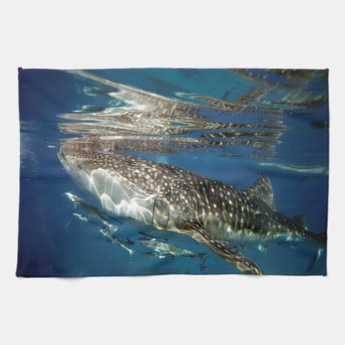 Whale shark Oslob Philippines Towel