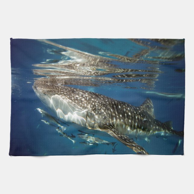 Whale shark Oslob Philippines Towel (Horizontal)