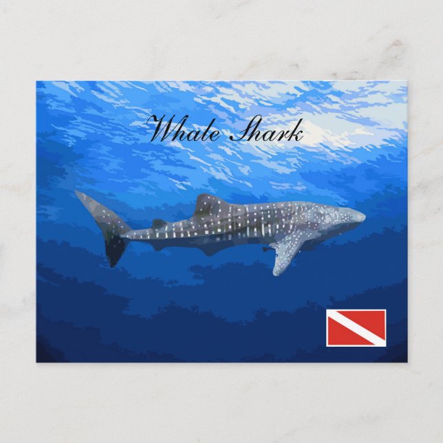 Whale Shark Postcard (Front)