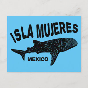 Whale Shark Scuba Diving   Isla Mujeres Postcard