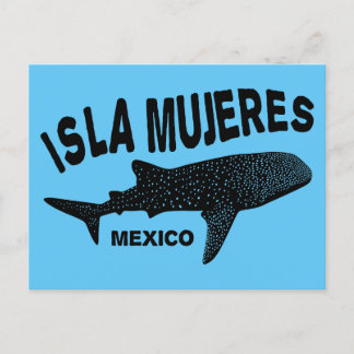 Whale Shark Scuba Diving | Isla Mujeres Postcard