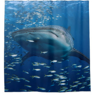 Whale Shark Shower Curtain