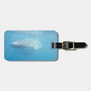 Whale Shark Underwater Close-up Luggage Tag