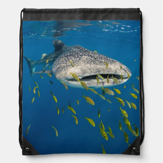 Whale Shark with fish, Indonesia Drawstring Bag (Front)