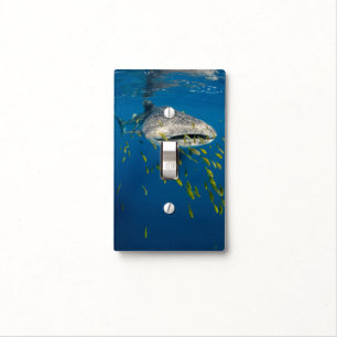 Whale Shark with fish, Indonesia Light Switch Cover
