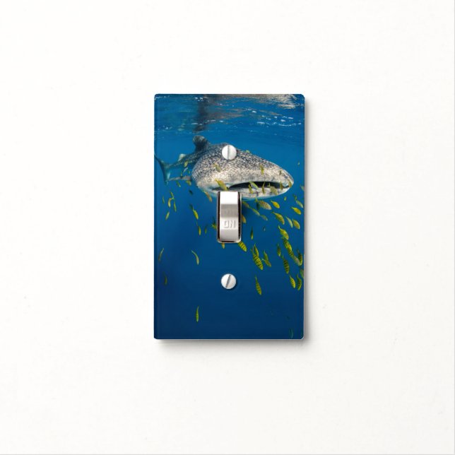 Whale Shark with fish, Indonesia Light Switch Cover (In Situ)