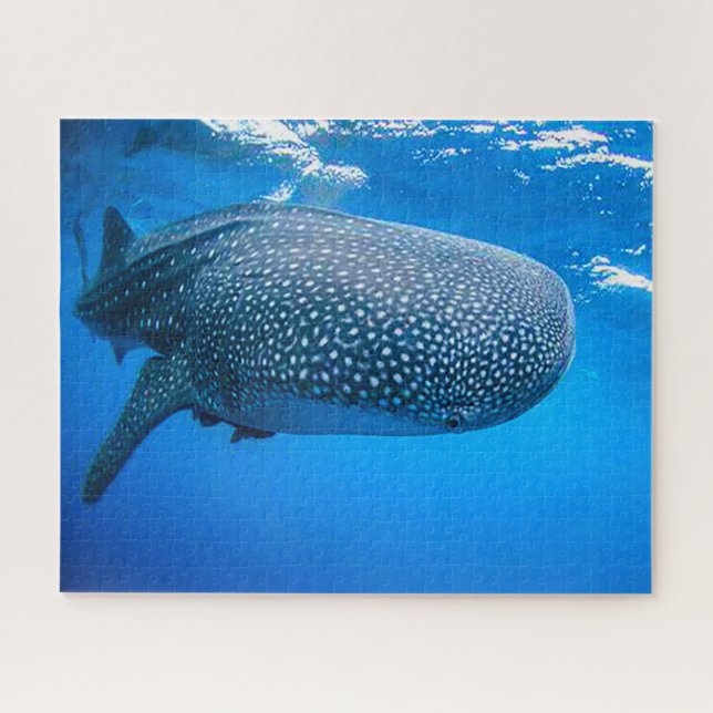 Whale Sharks Jigsaw Puzzle (Horizontal)