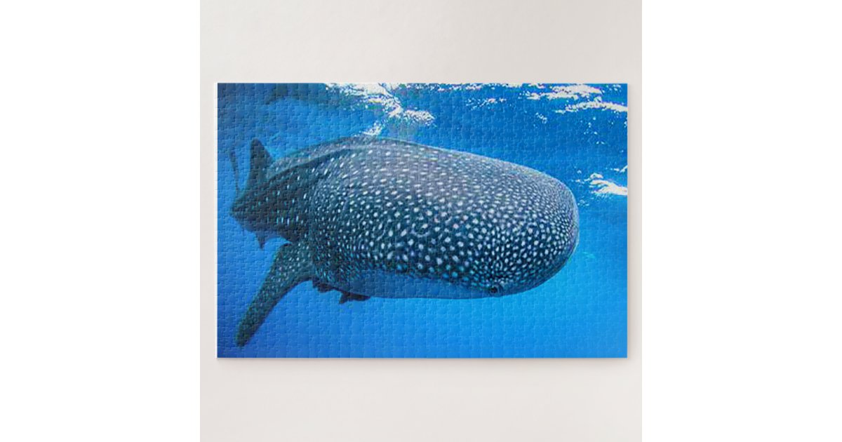 Whale Sharks Jigsaw Puzzle | Zazzle