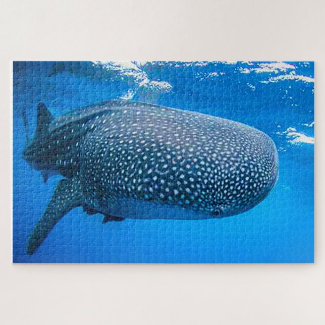 Whale Sharks Jigsaw Puzzle (Horizontal)