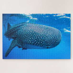 Whale Sharks Jigsaw Puzzle