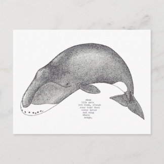 whale songs postcard