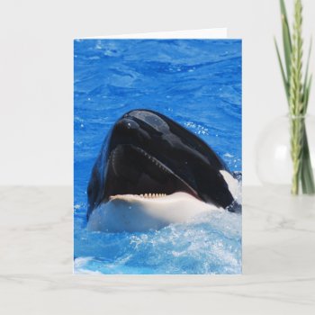 Whale Sounds Greeting Card by WildlifeAnimals at Zazzle