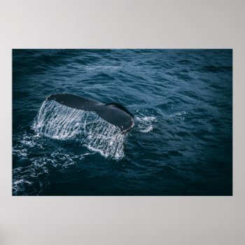 Whale Tail Emerging From The Ocean Poster by EnhancedImages at Zazzle