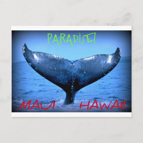 WHALE TAIL MAUI PARADISE HAWAII POSTCARD