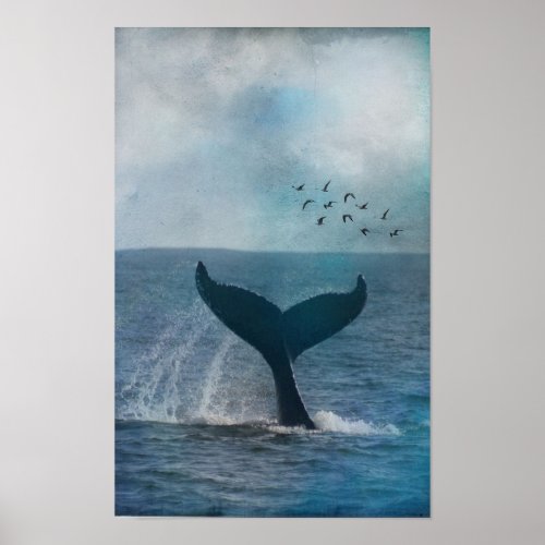 Whale Tail Poster