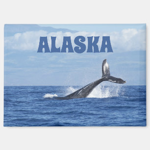 Whale Tail Scenic Oceanic Alaska Magnet Gift