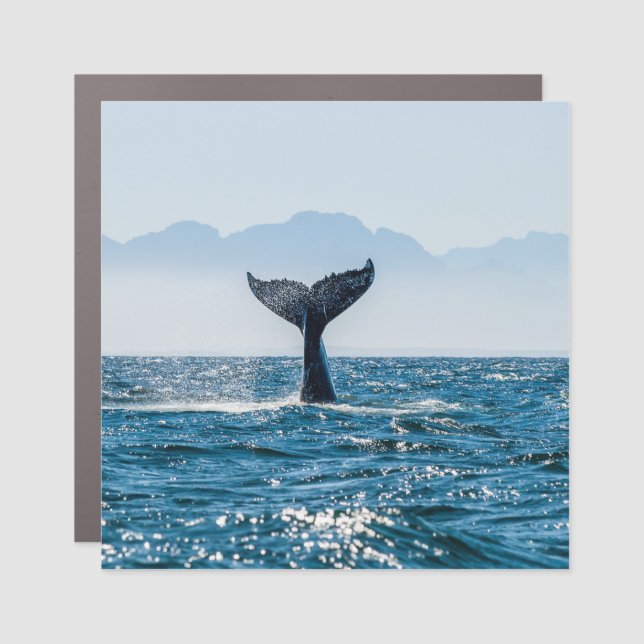 Whale Tail Seascape: Dramatic Water. Car Magnet (Front)