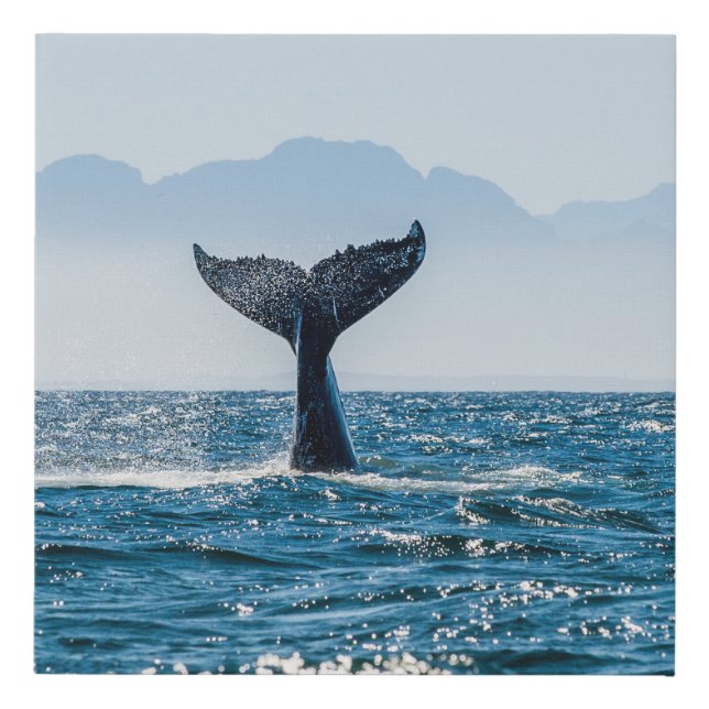 Whale Tail Seascape: Dramatic Water. Faux Canvas Print (Front)