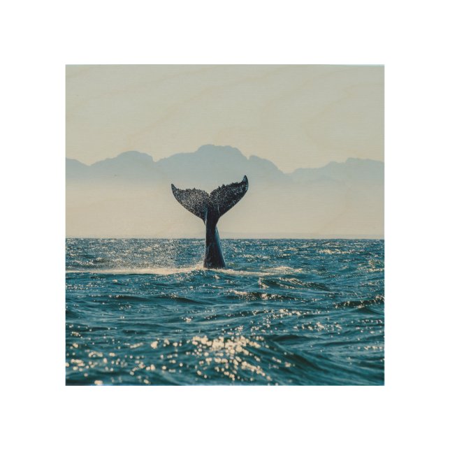 Whale Tail Seascape: Dramatic Water. Wood Wall Art (Front)